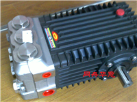 INTERPUMP意大利原装316L不锈钢高压泵（目录）